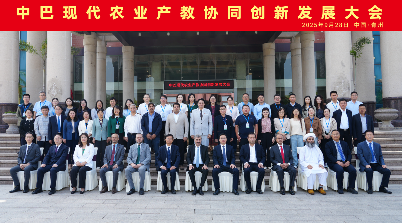 1759544634109010068.png 图3.png