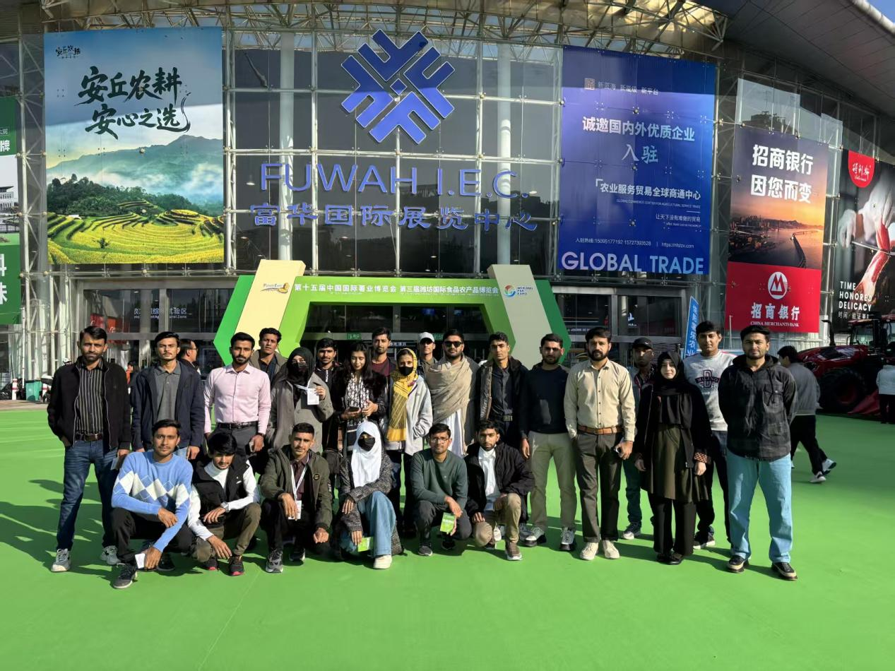 1762128429428011235.png 1.1.png